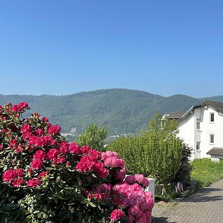 Ferienwohnung Rhein-Panorama Lahnstein Exterior foto